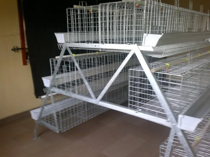 Hot Dipped Galvanized Layer Cage (foreign)