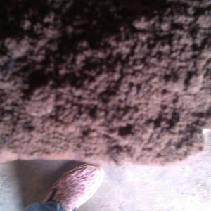 Palm Kernel Cake (PKC)