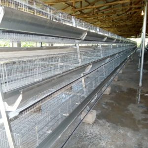 90/96 Capacity Battery Cage (Imported)