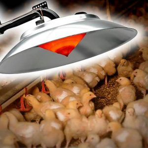 Infrared Gas Brooder (AYTAV)