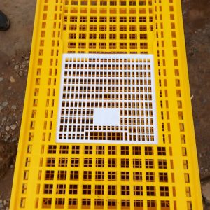 Premium Transfer Crate (imported)