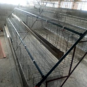 Fairly Used 96 Capacity Battery Cage (locally fabricated)