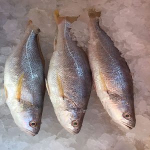 Frozen fish