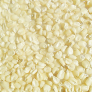 White Maize