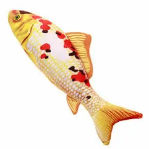 Premium Japanese Koi Carp (Ornamental Fish)