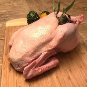 Whole Duck