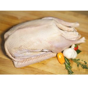whole Goose