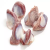 Frozen Turkey Gizzards – 1KG