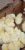 Vertex Broilers (Arbor Acres Plus)
